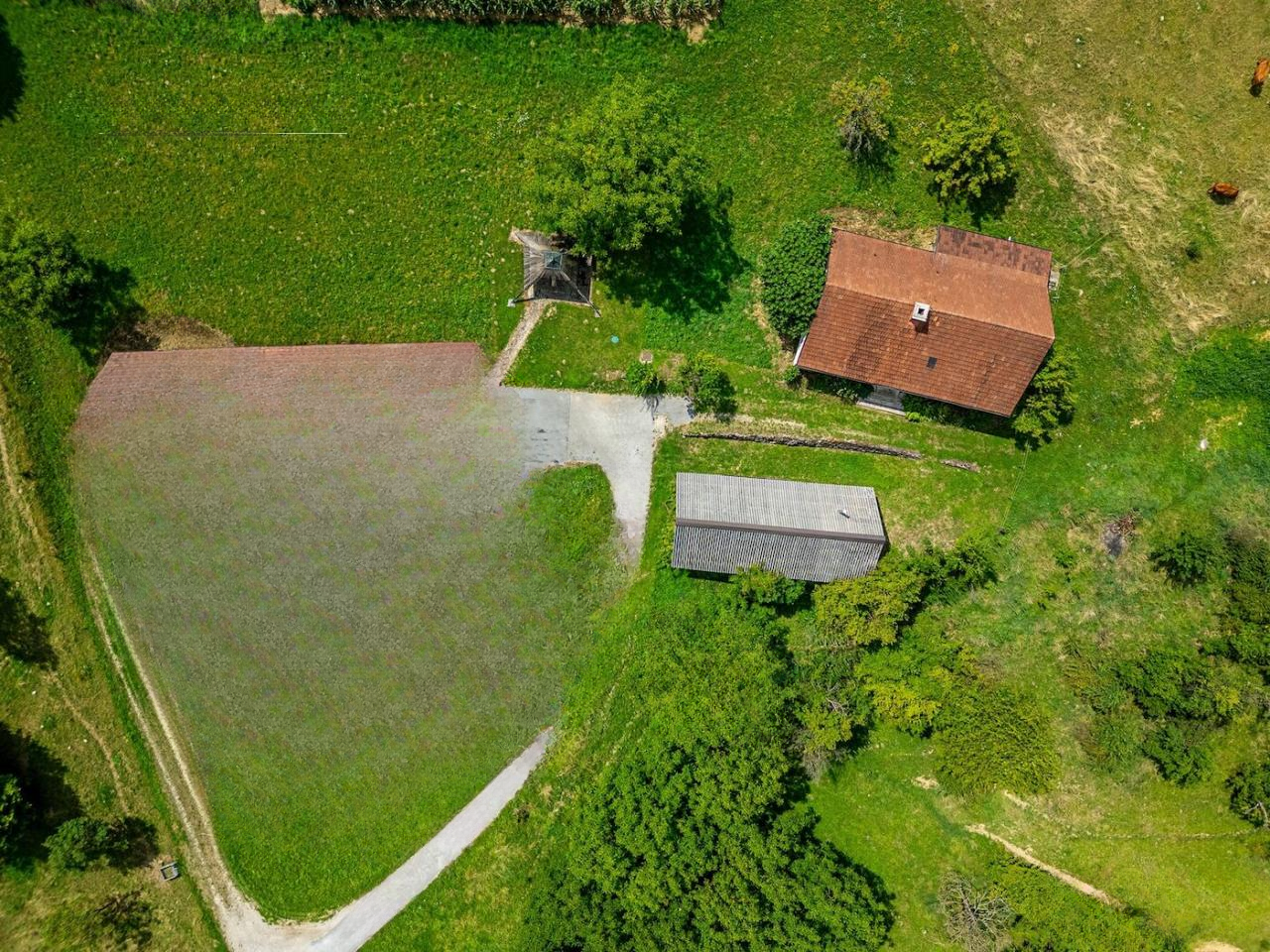 Ферма в Шентюре, Словения, 600 м² - фото 10