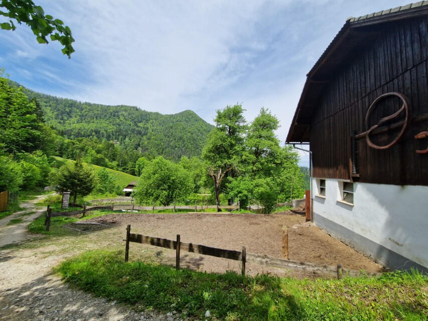 Ферма в Равне-на-Корошкем, Словения, 105 872 м² - фото 17
