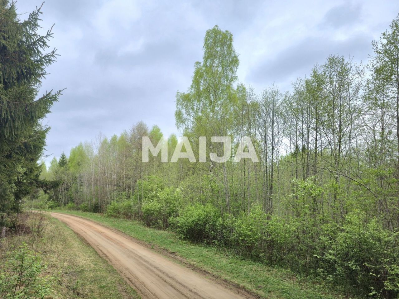 Земля Балдоне, Латвия, 36 000 м² - фото 2