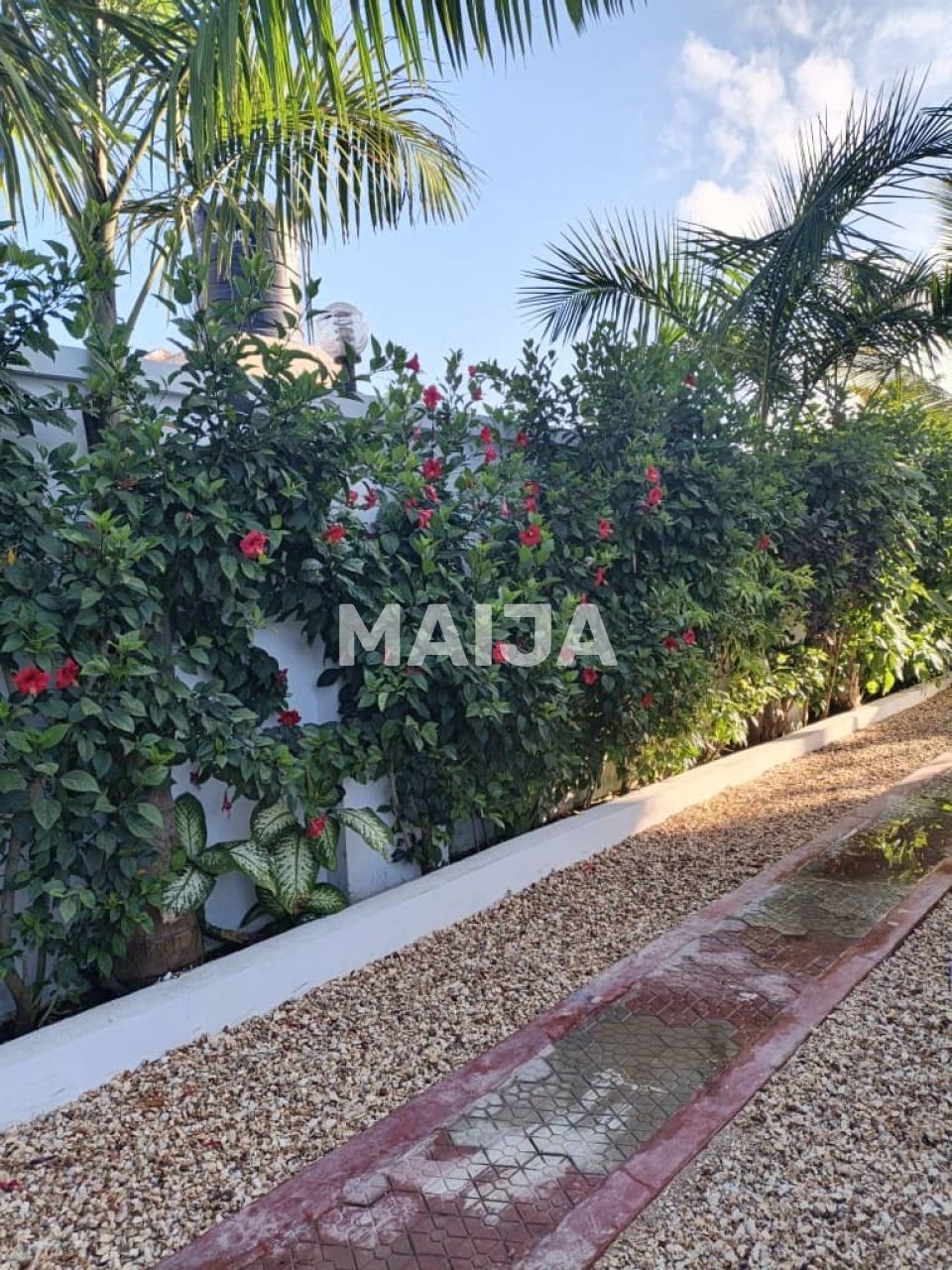 Дом в Занзибаре, Танзания, 530 м² - фото 8