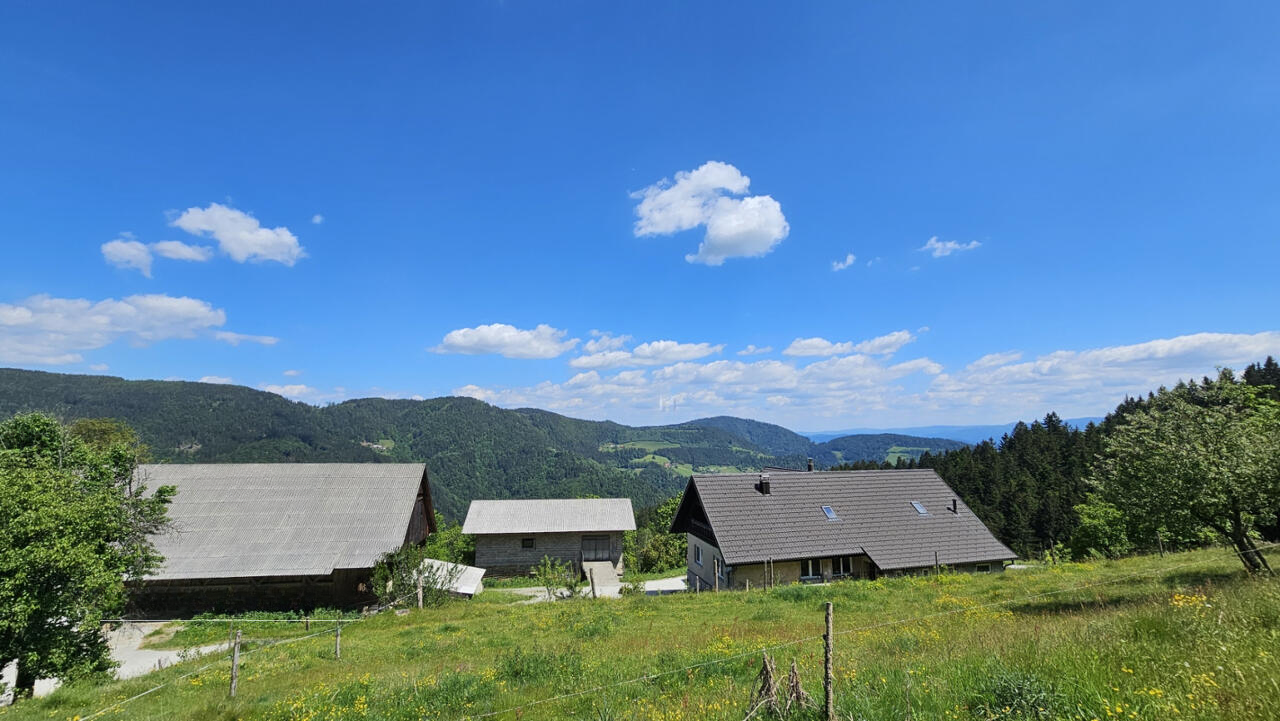 Ферма в Муте, Словения, 320 845 м² - фото 6