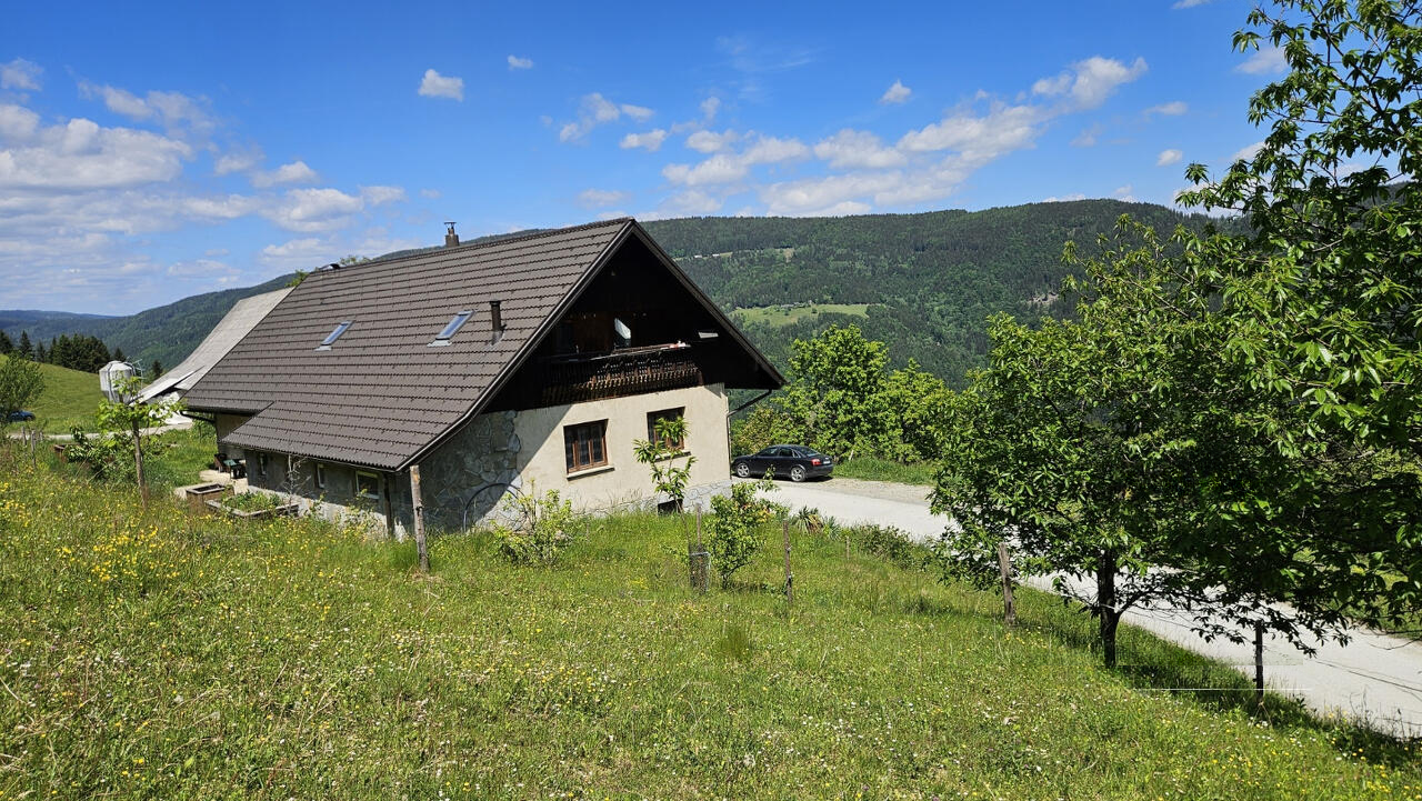 Ферма в Муте, Словения, 320 845 м² - фото 7