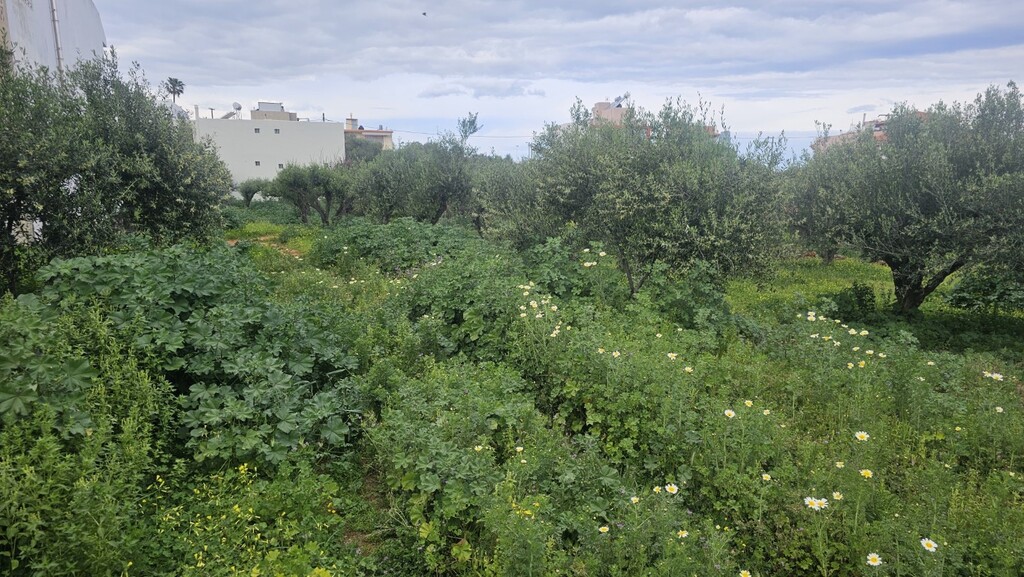 Земля в Ираклионе, Греция, 1 052 м² - фото 6