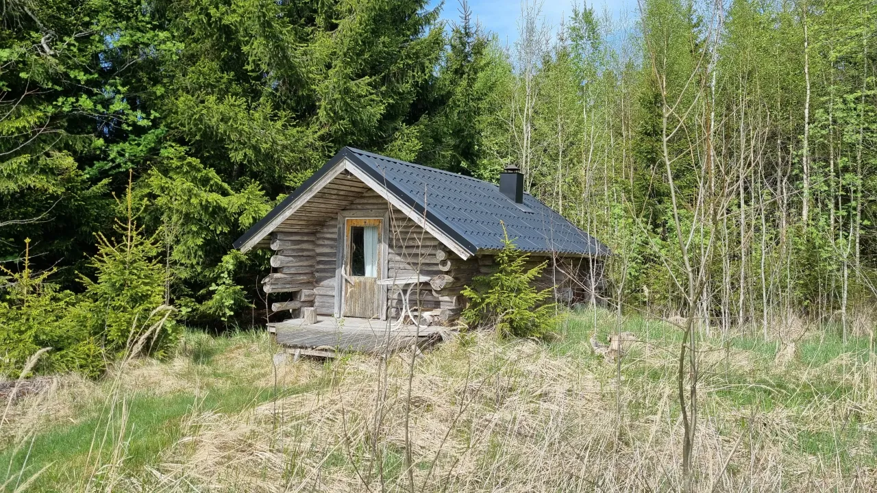 Коттедж в Хуитинен, Финляндия, 40 м² - фото 6