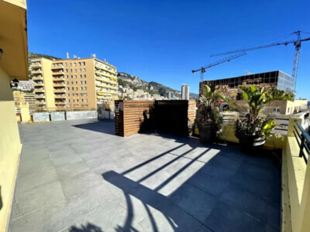 Квартира в Монегетти, Монако, 316 м² - фото 1
