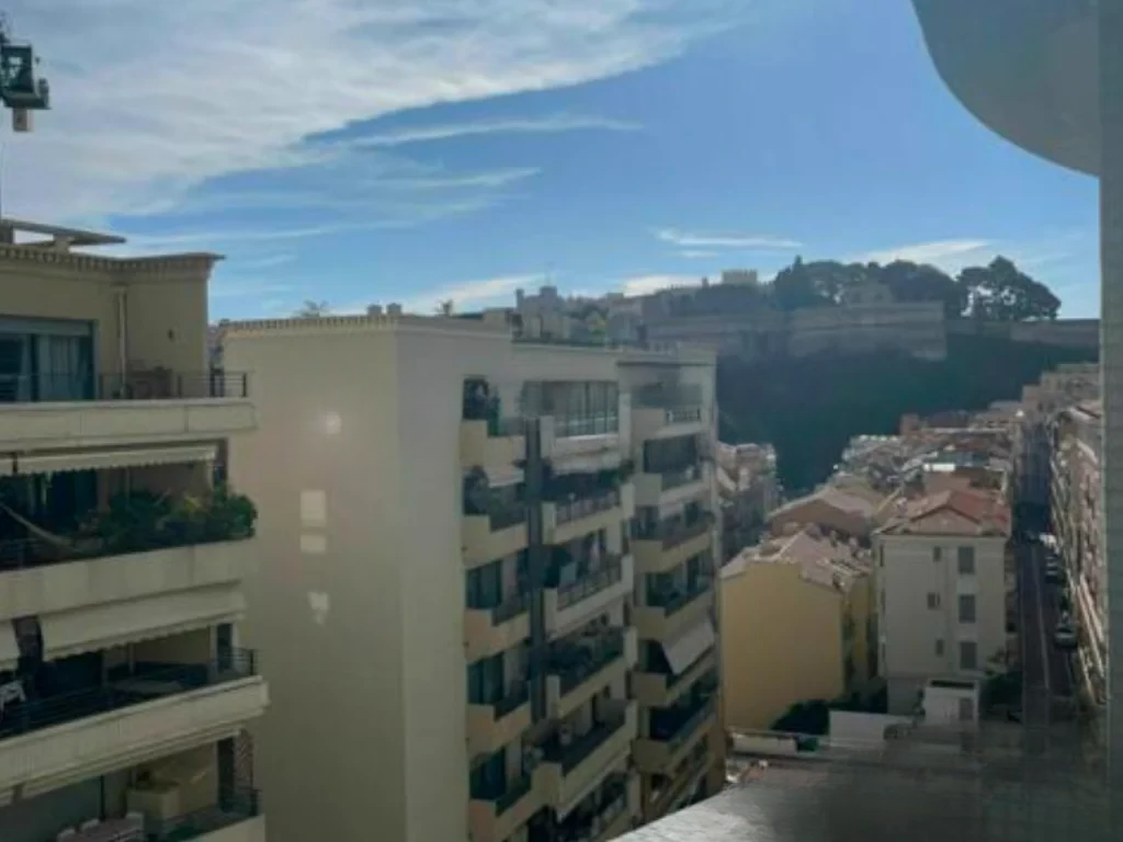 Квартира в Ла-Кондамине, Монако, 88 м² - фото 3