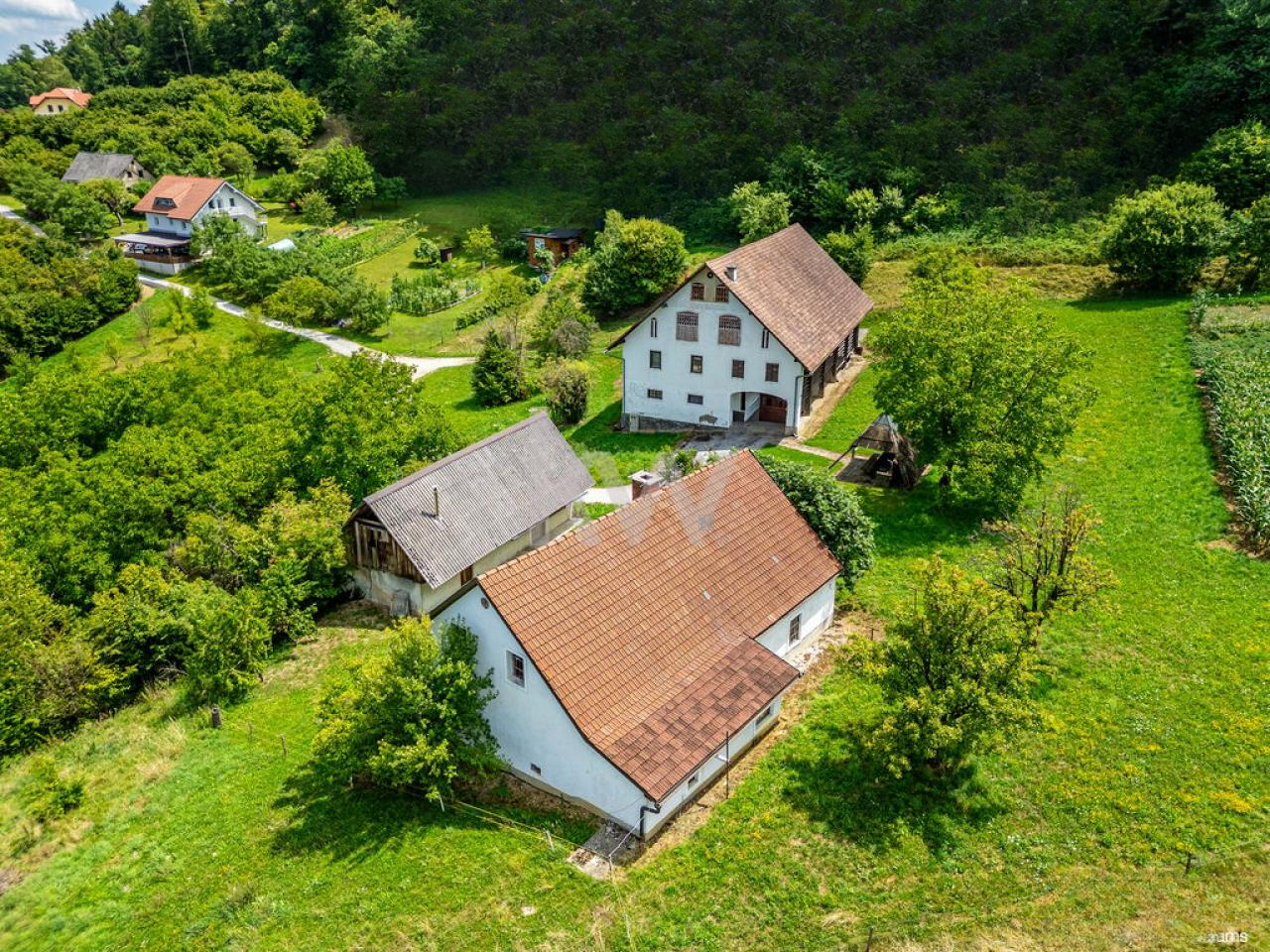 Ферма в Шентюре, Словения, 600 м² - фото 1