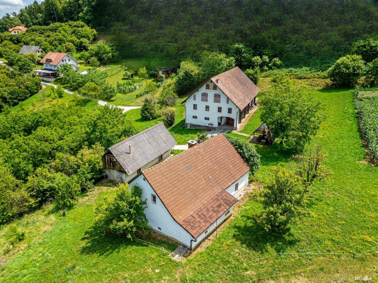 Ферма в Шентюре, Словения, 600 м² - фото 1