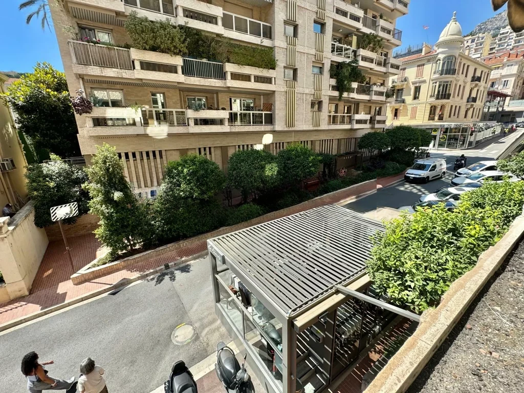 Квартира в Ла-Кондамине, Монако, 111 м² - фото 2