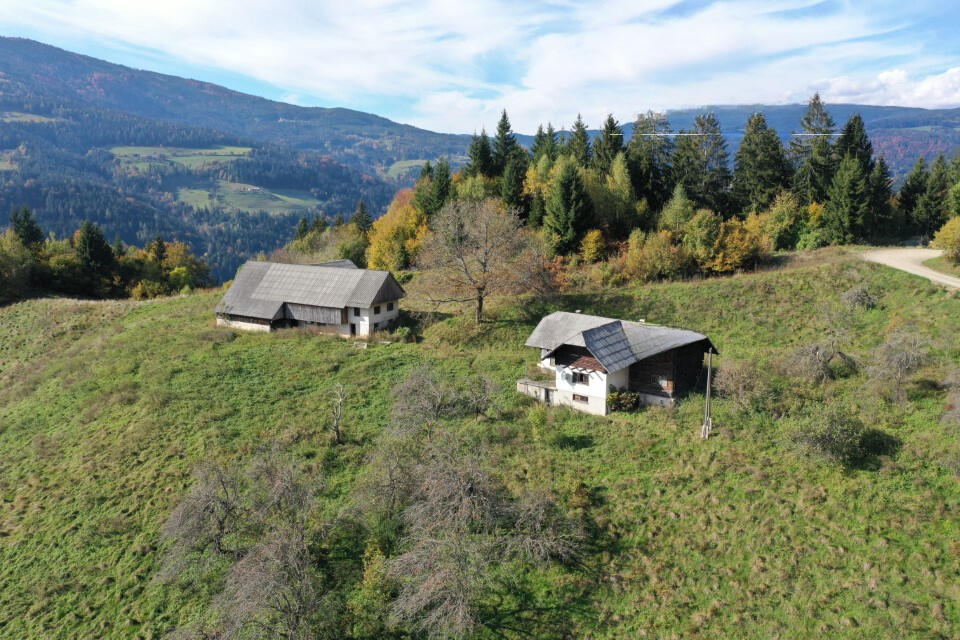 Ферма в Муте, Словения, 131 726 м² - фото 3