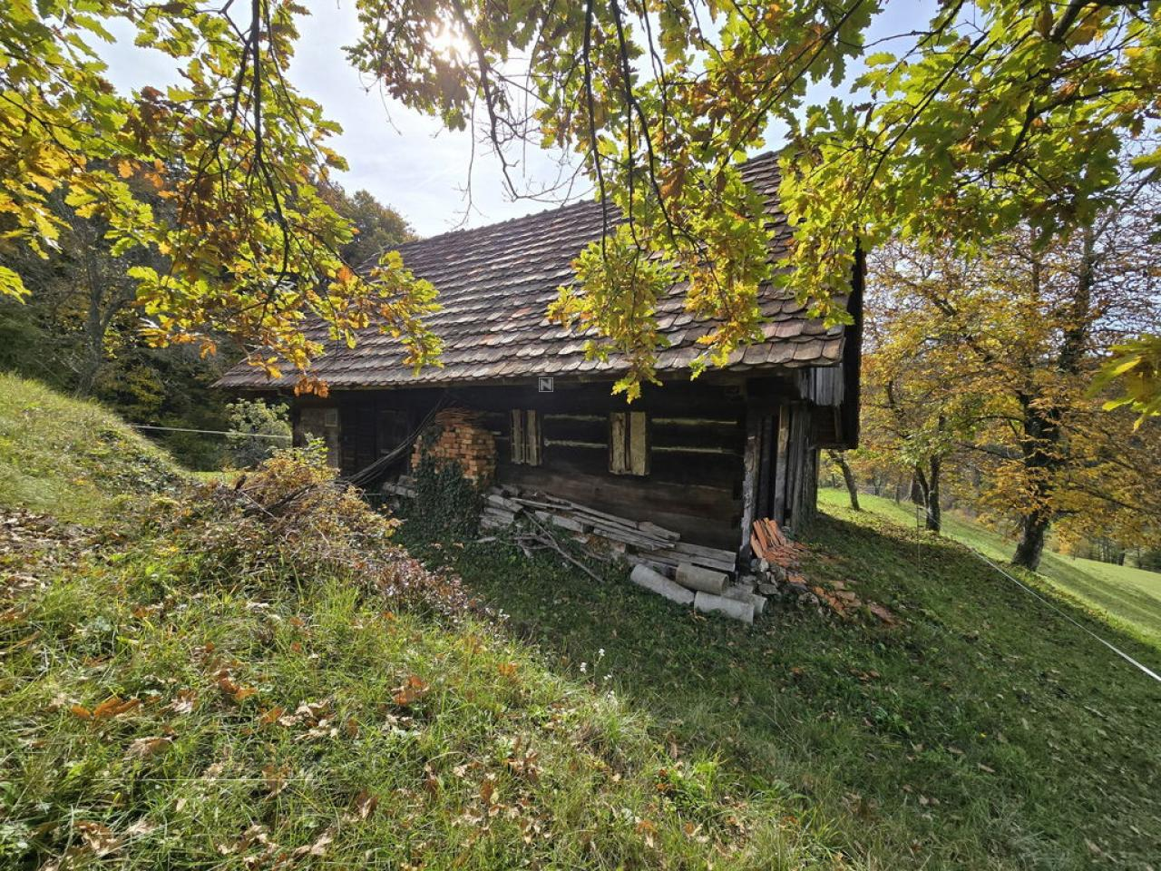 Ферма в Шентюре, Словения, 35 м² - фото 3