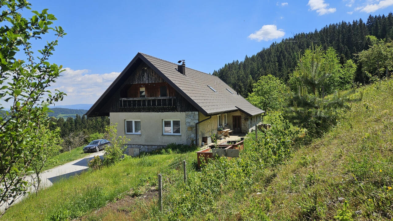 Ферма в Муте, Словения, 320 845 м² - фото 4