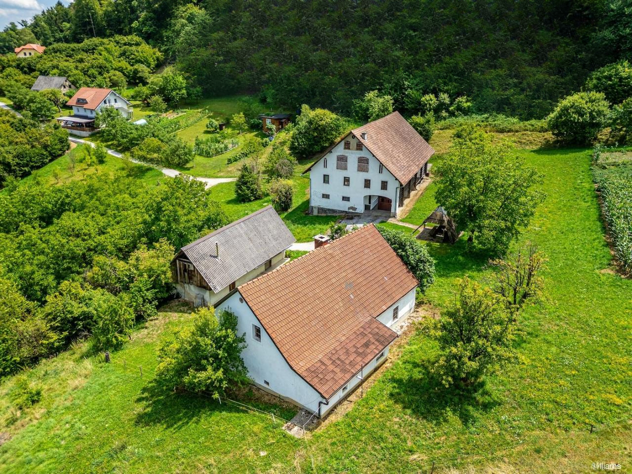 Ферма в Шентюре, Словения, 600 м² - фото 4
