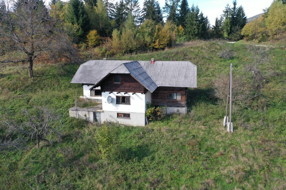 Ферма в Муте, Словения, 131 726 м² - фото 4