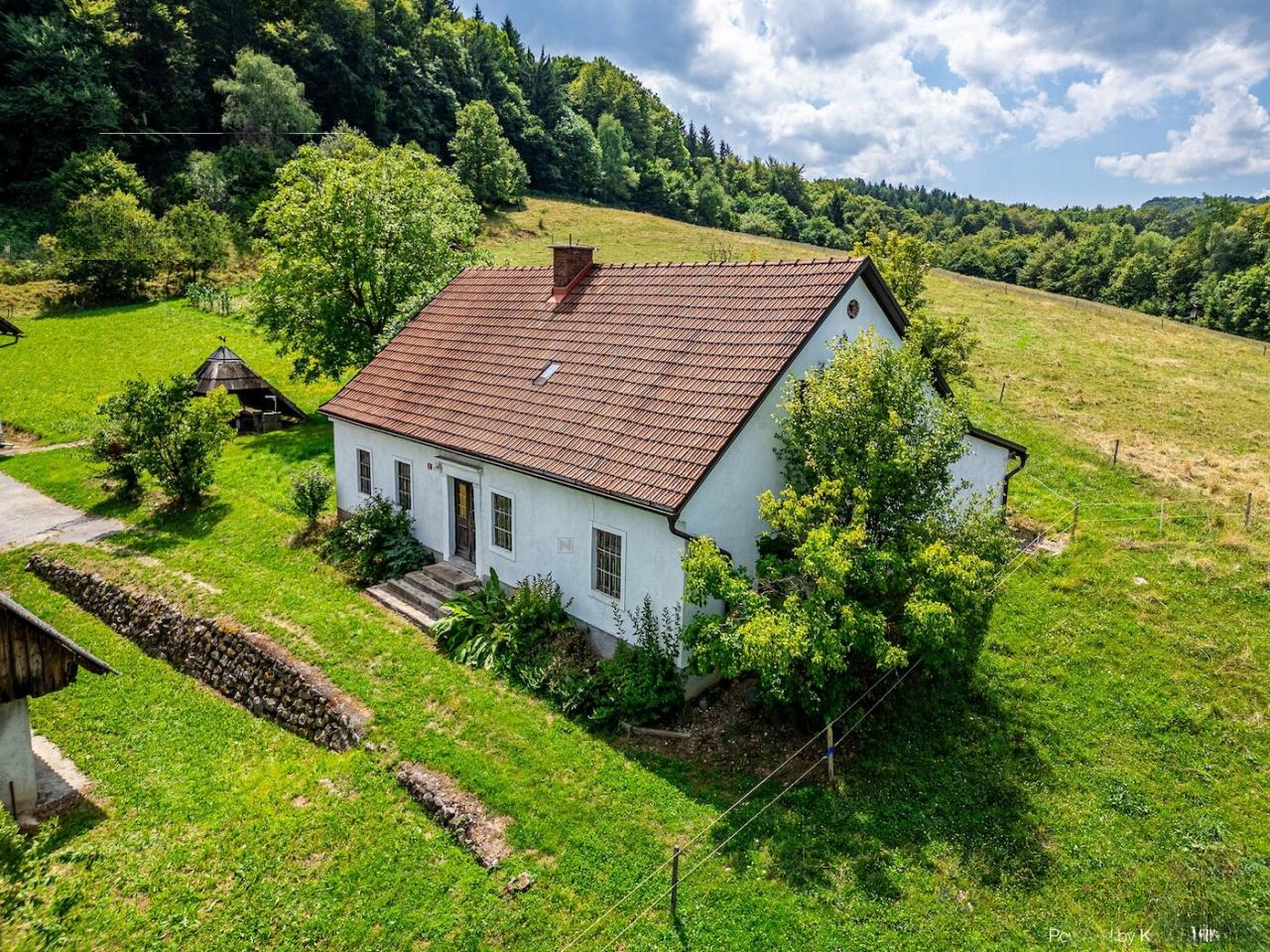 Ферма в Шентюре, Словения, 600 м² - фото 5