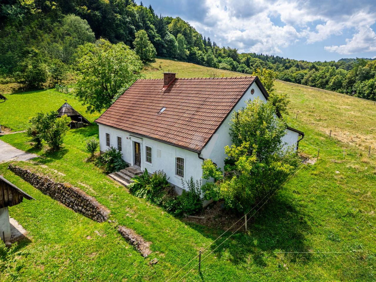 Ферма в Шентюре, Словения, 600 м² - фото 5
