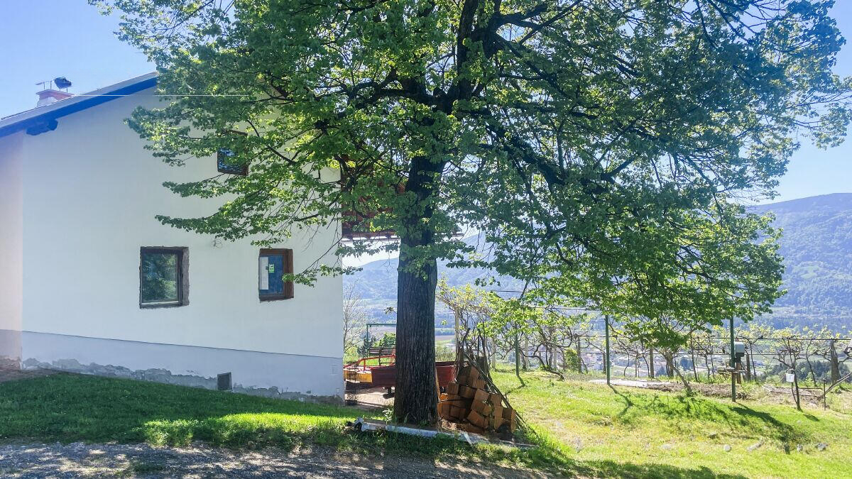 Ферма в Руше, Словения, 126 572 м² - фото 6