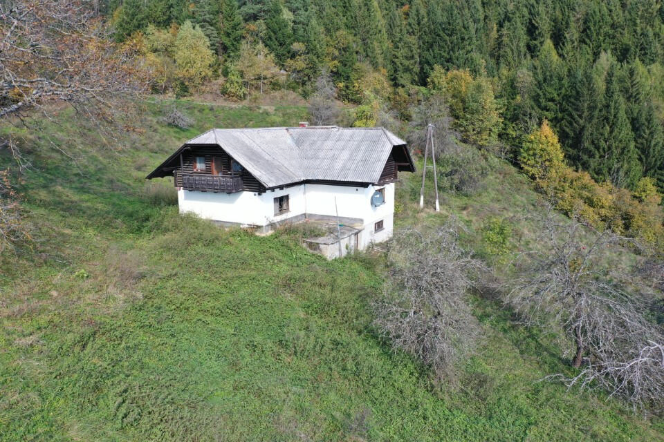 Ферма в Муте, Словения, 131 726 м² - фото 6