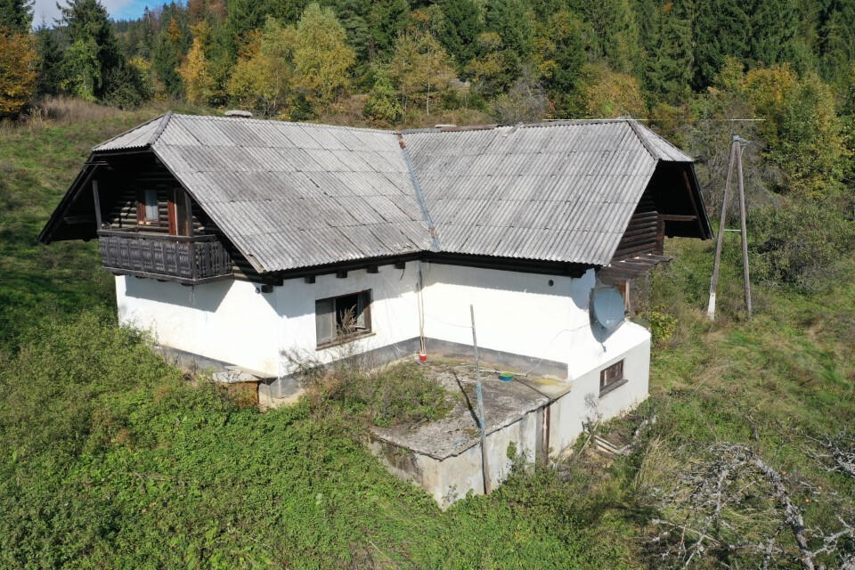 Ферма в Муте, Словения, 131 726 м² - фото 6