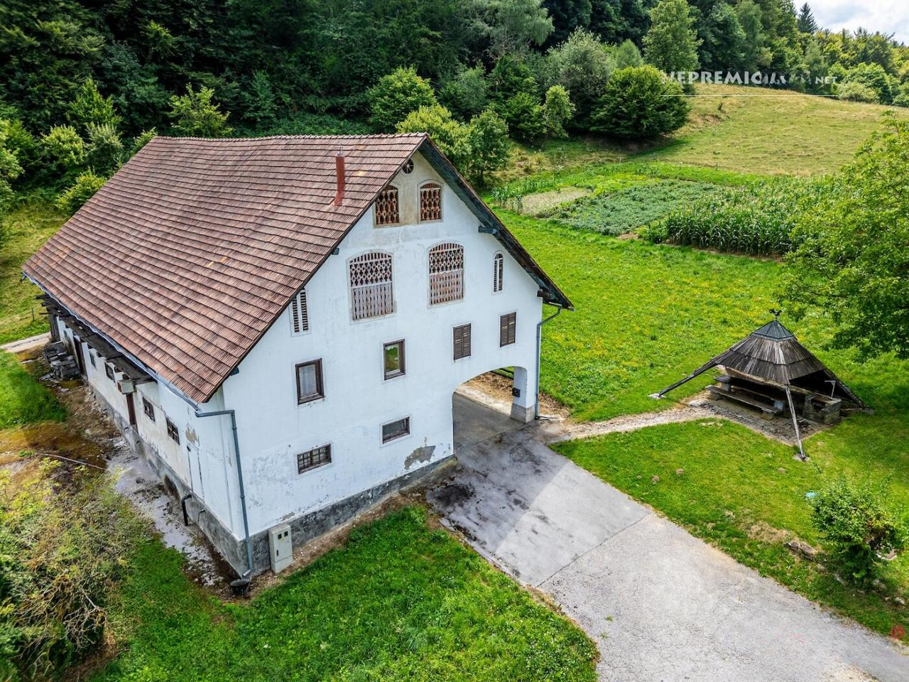 Ферма в Шентюре, Словения, 600 м² - фото 6