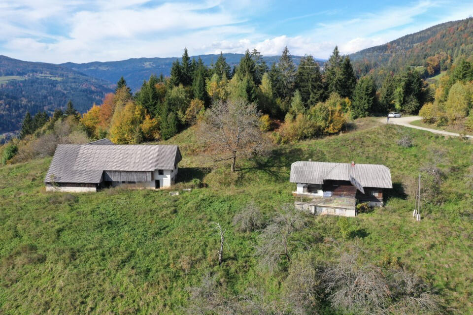 Ферма в Муте, Словения, 131 726 м² - фото 7