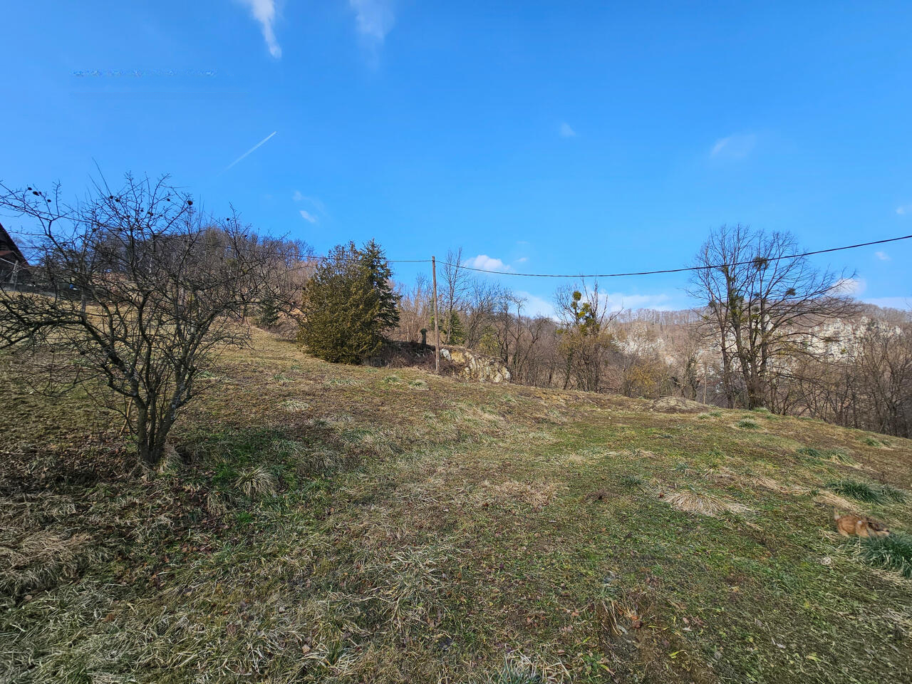 Ферма в Лашко, Словения, 27 245 м² - фото 15