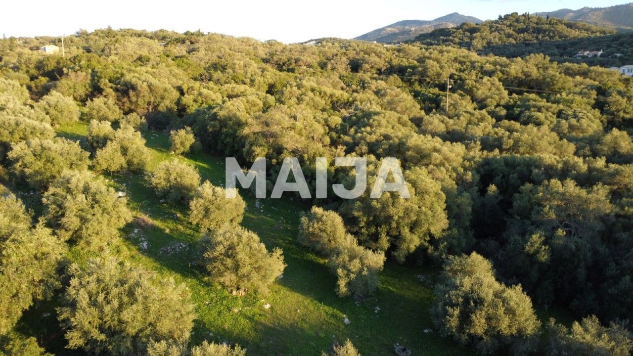 Земля на Корфу, Греция, 2 469 м² - фото 4