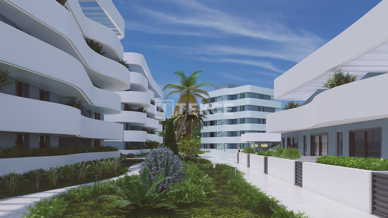 Пентхаус в Гуардамар-дель-Сегура, Испания, 85 м² - фото 3