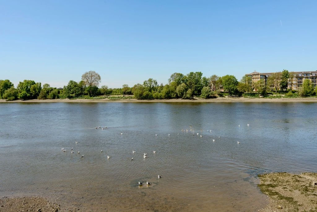 Квартира в Лондоне, Великобритания, 34 м² - фото 5