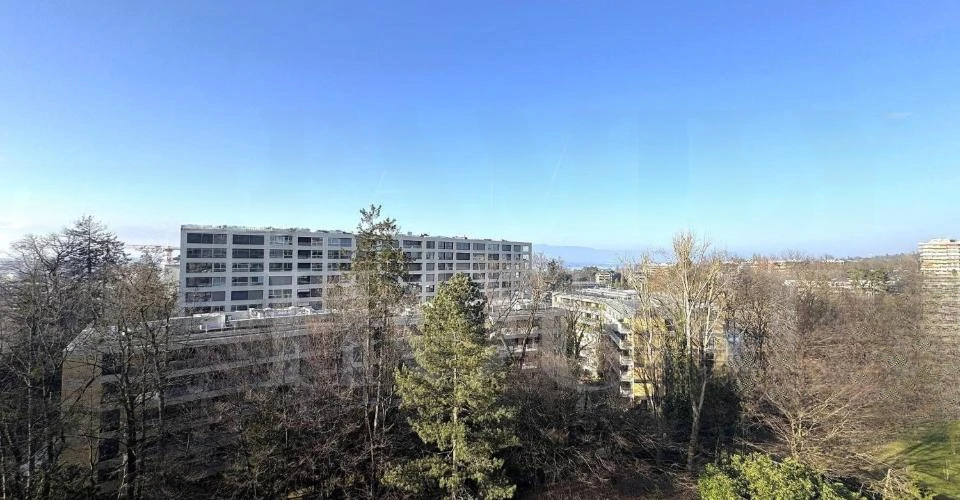 Квартира в Женеве, Швейцария, 215 м² - фото 6