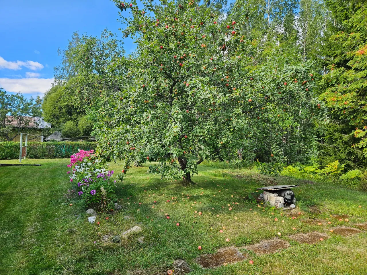 Дом в Руоколахти, Финляндия, 72 м² - фото 18