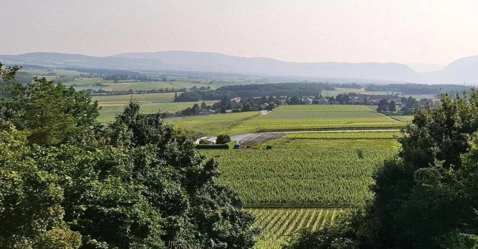 Квартира в Женеве, Швейцария, 437 м² - фото 1