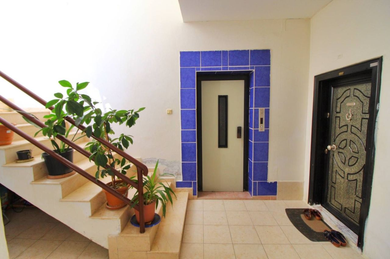 Квартира в Алании, Турция, 45 м² - фото 3