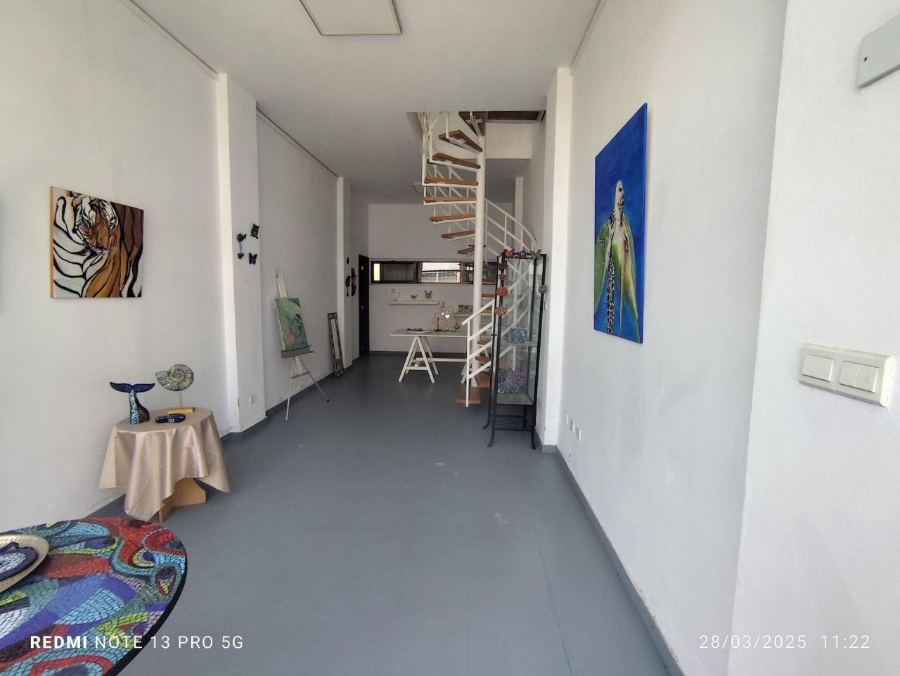 Магазин Katholiki, Кипр, 240 м² - фото 1