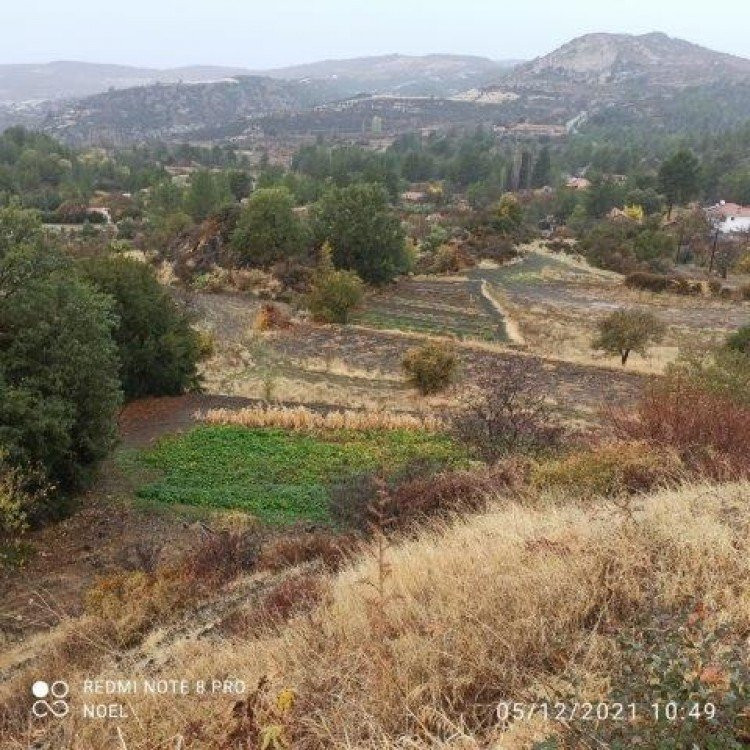 Коммерческая недвижимость в Мандрии, Кипр - фото 2