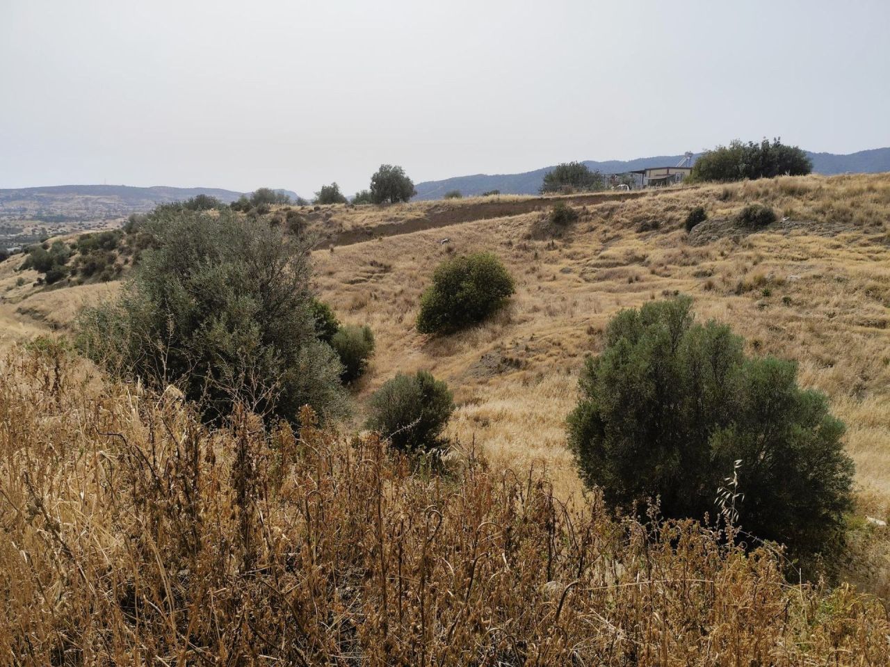 Земля в Пареклисии, Кипр, 409 м² - фото 6