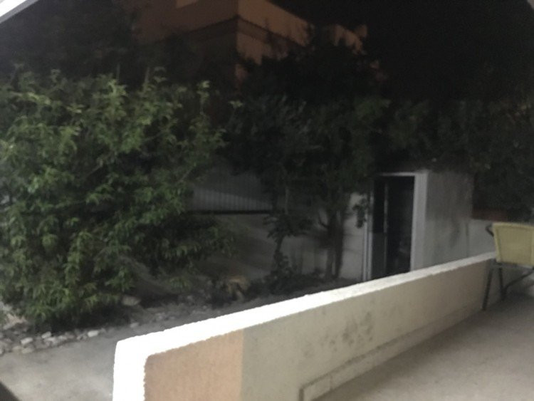 Офис Zakaki, Кипр, 180 м² - фото 7
