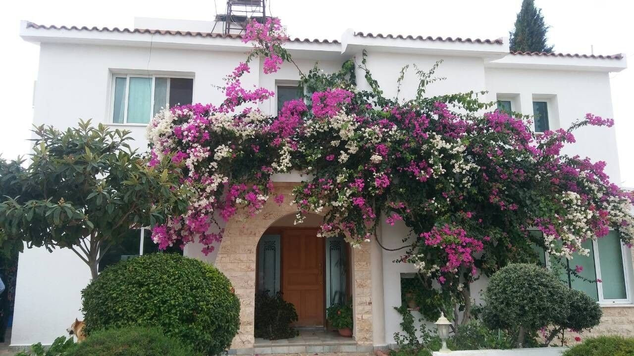 Дом в Арму, Кипр, 250 м² - фото 10