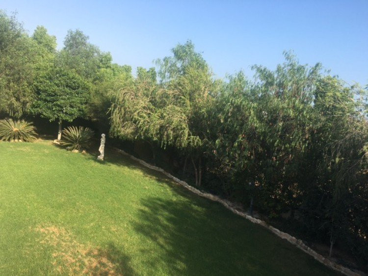 Дом в Ипсонасе, Кипр, 300 м² - фото 13