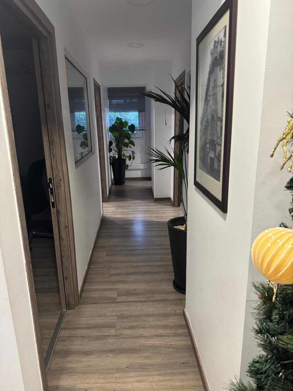 Офис Agia Zoni, Кипр, 250 м² - фото 11