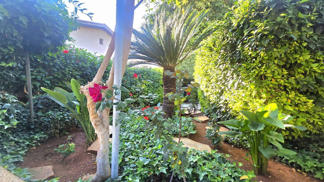 Офис Katholiki, Кипр, 110 м² - фото 13