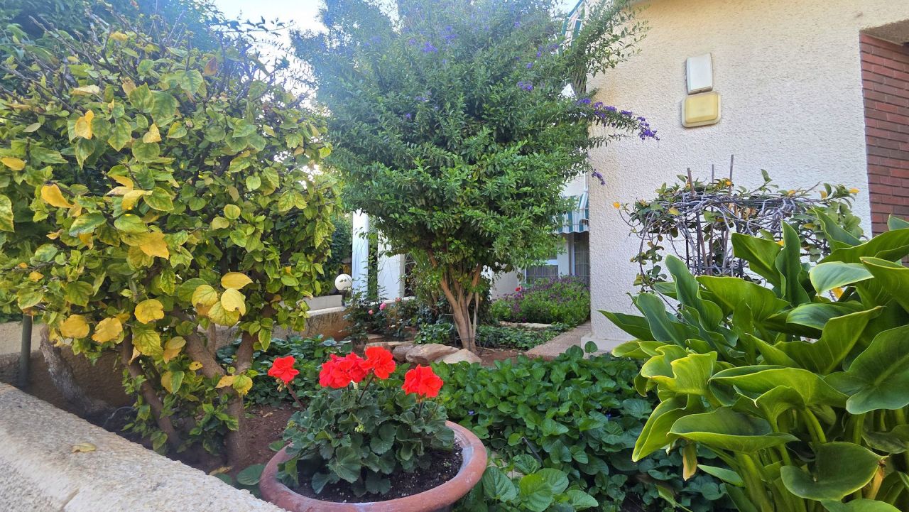Офис Katholiki, Кипр, 110 м² - фото 14