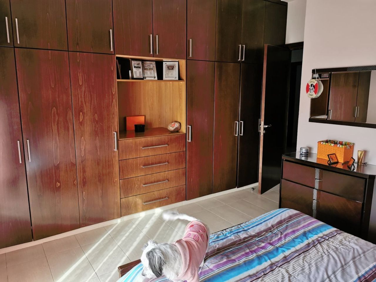Дом в Эрими, Кипр, 250 м² - фото 12