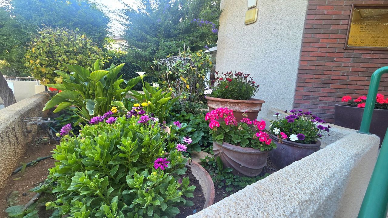 Офис Katholiki, Кипр, 110 м² - фото 15