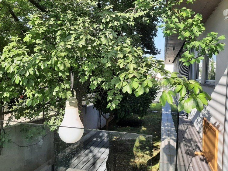 Дом в Мони, Кипр, 340 м² - фото 13