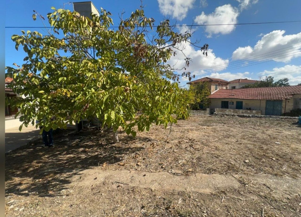 Дом в Саламиу, Кипр, 50 м² - фото 19