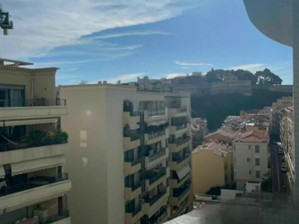 Квартира в Ла-Кондамине, Монако, 90 м² - фото 2