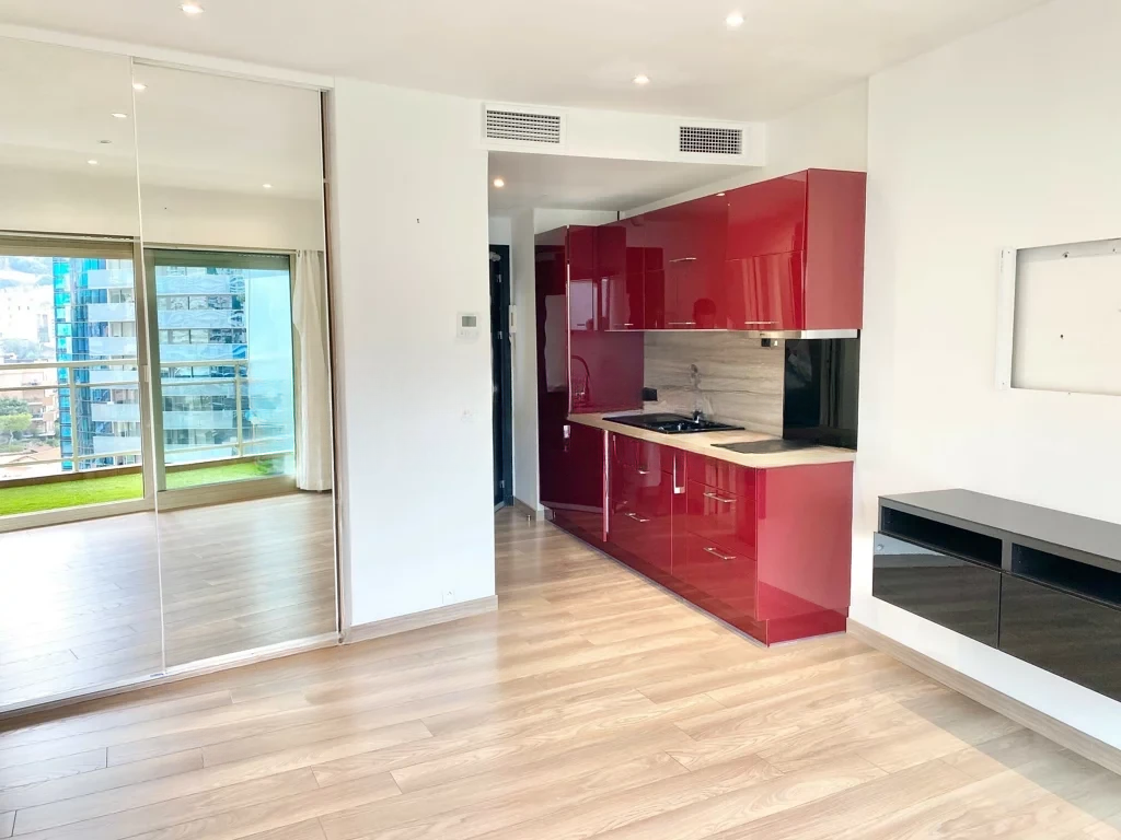 Квартира в Сен-Романе, Монако, 30 м² - фото 4