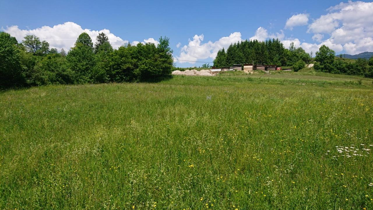 Земля в Бохине, Словения, 8 876 м² - фото 7