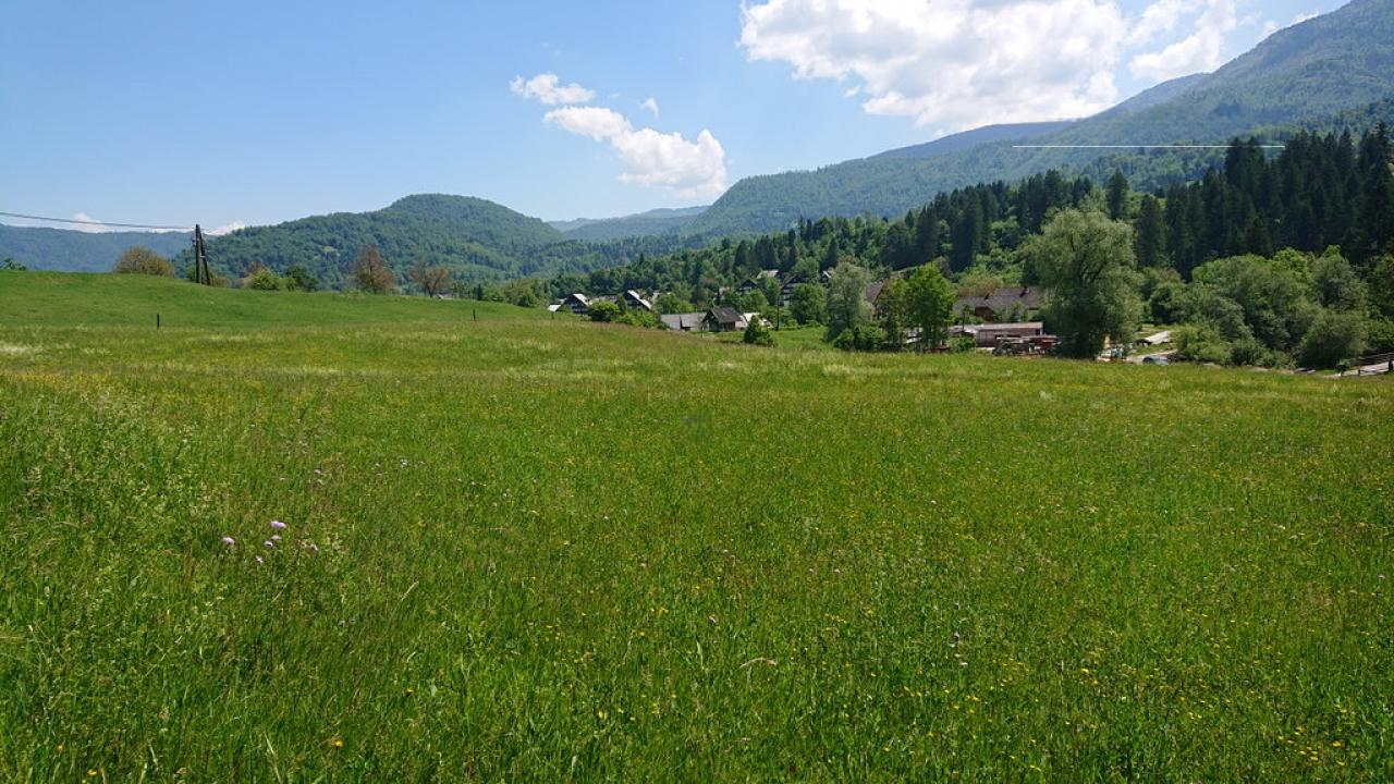 Земля в Бохине, Словения, 8 876 м² - фото 9